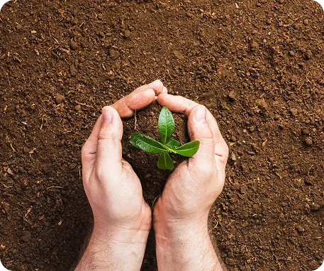 Sustainable Practices